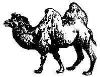A Camel!